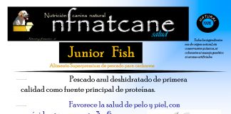 junior fish