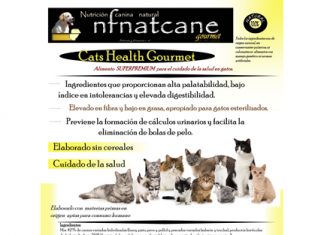Portada-CATS-HEALTH