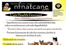 cats health gourmet