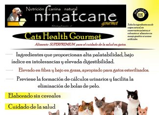cats health gourmet