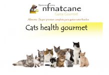 cats health