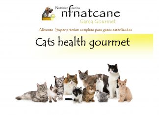 cats health