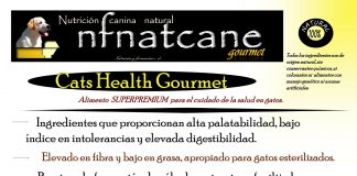 cats health gourmet OK