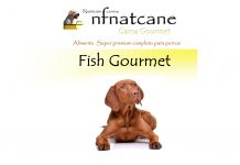 fish gourmet