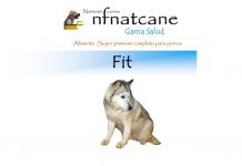 fit