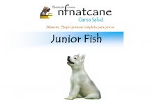 junior fish