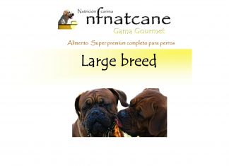 large breed