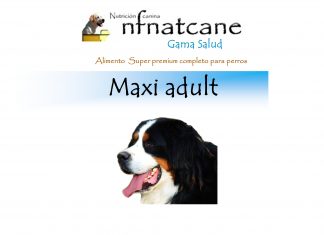 maxi adult