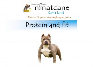 protein