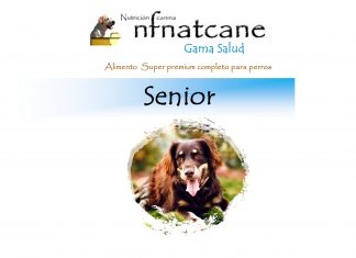 seniior