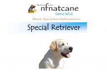 special retriever