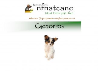 cachorros