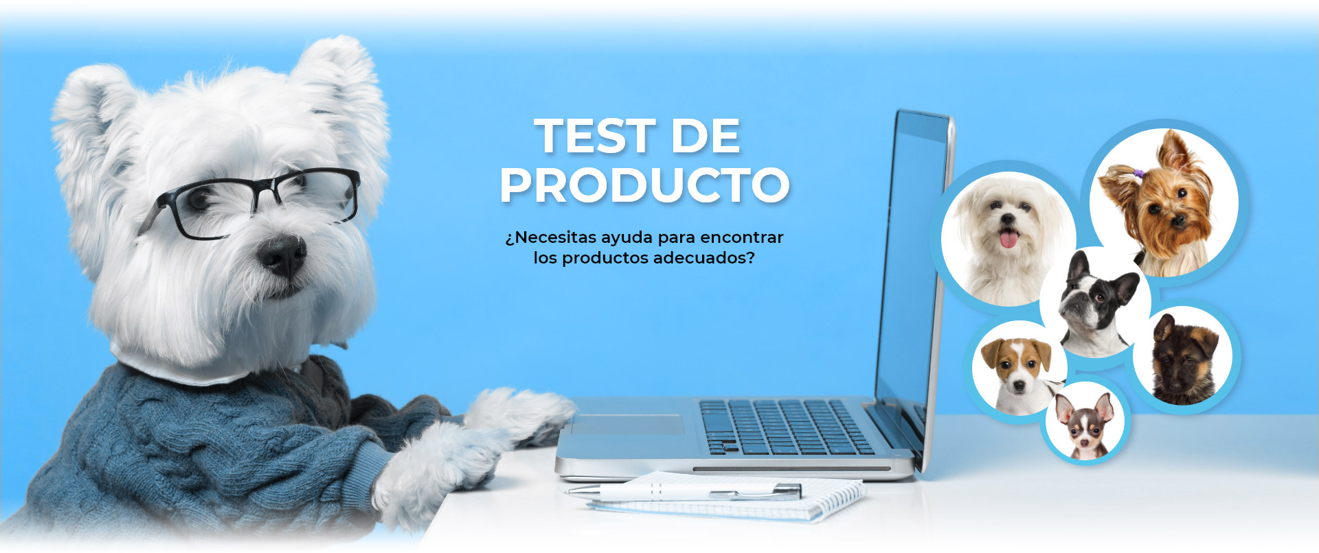 test-producto
