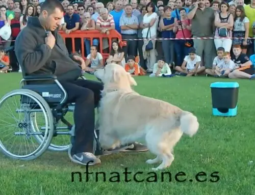 Exercício de trabalhos de assistência 3