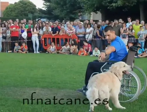 Exercício de trabalhos de assistência 2