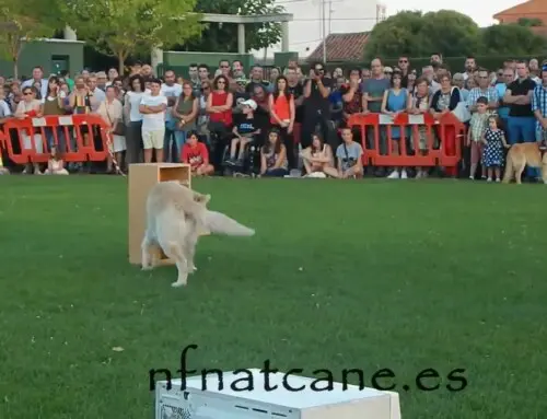Ejercicio de trabajos de asistencia
