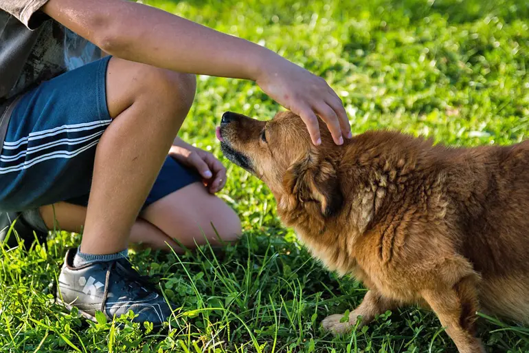 perro-contento-con-su-dueño