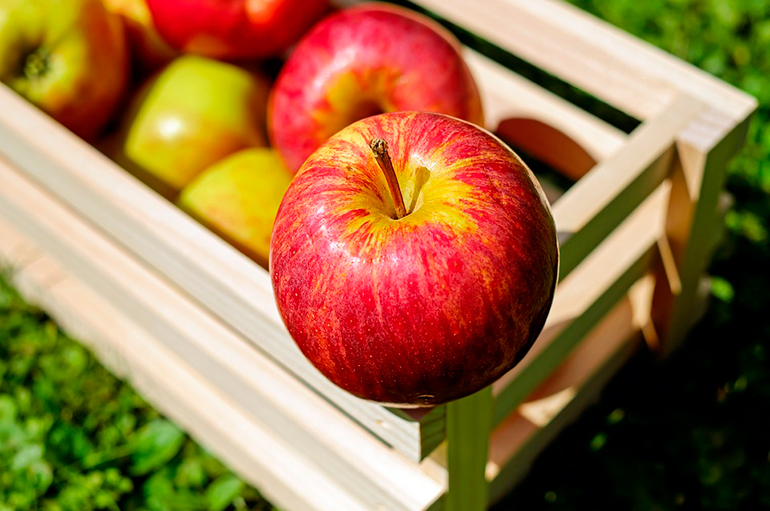 manzana