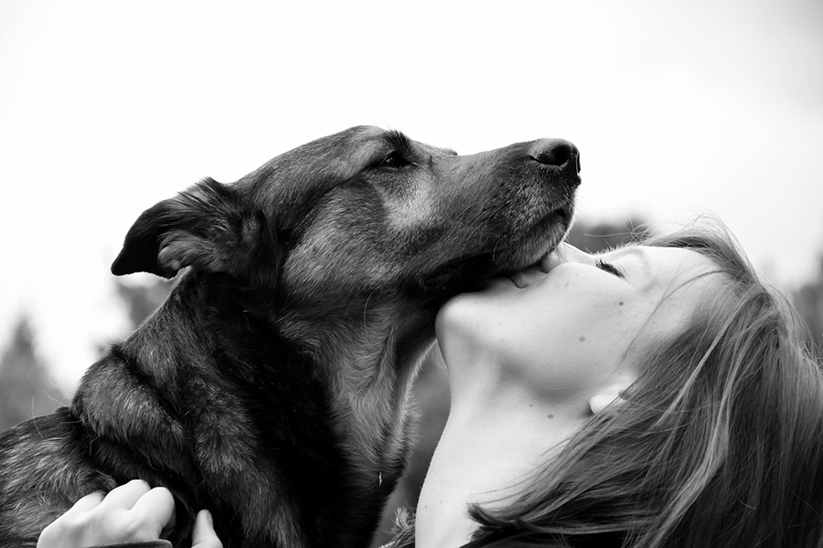 perro con su humana