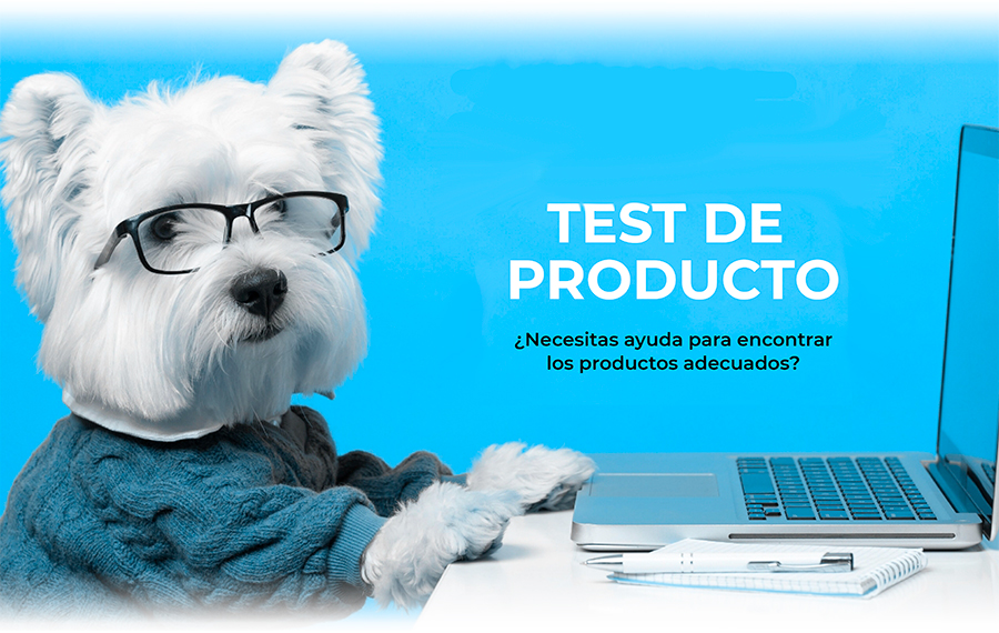 Test-móvil